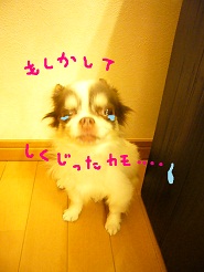 2012080708.jpg