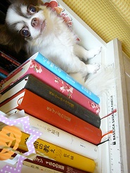 2012081005.jpg