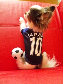 2012081006.jpg