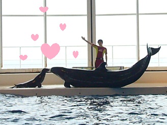 2012081201.jpg