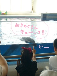 2012081202.jpg
