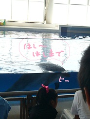 2012081203.jpg