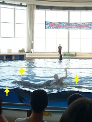 2012081204.jpg