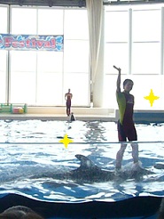 2012081206.jpg
