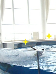 2012081207.jpg