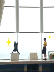 2012081209.jpg