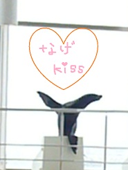 2012081211.jpg