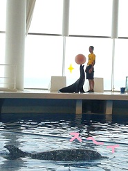 2012081212.jpg