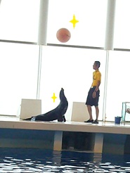 2012081213.jpg