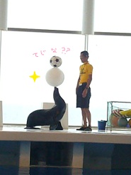 2012081214.jpg