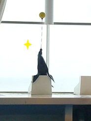 2012081215.jpg