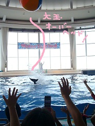 2012081217.jpg