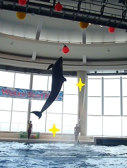 2012081218.jpg