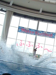2012081219.jpg