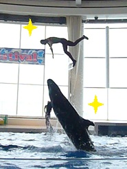 2012081220.jpg