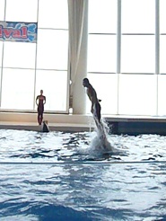 2012081221.jpg