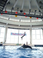 2012081222.jpg