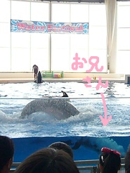2012081223.jpg