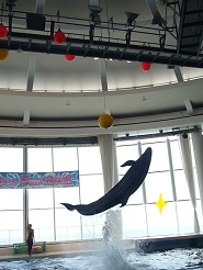 2012081224.jpg