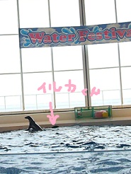2012081225.jpg