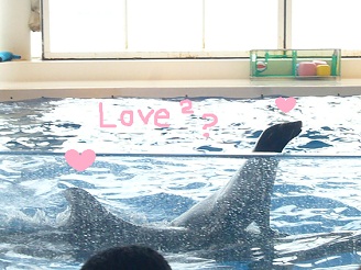 2012081227.jpg