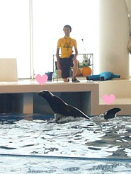 2012081228.jpg