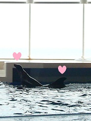 2012081229.jpg