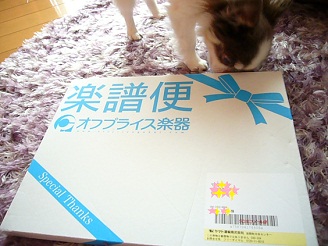 2012081301.jpg