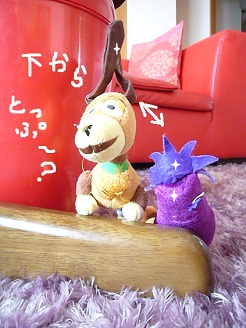 2012082001.jpg