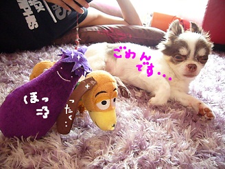 2012082002.jpg