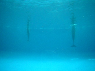 2012082101.jpg