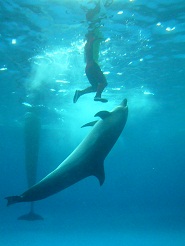 2012082102.jpg