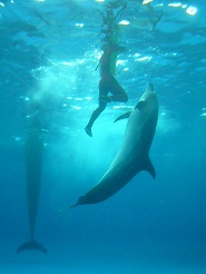 2012082103.jpg