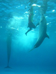 2012082104.jpg