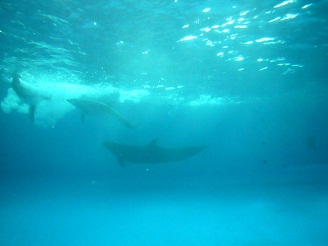2012082104_20120821195344.jpg