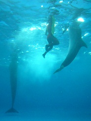 2012082105.jpg