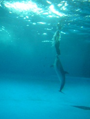 2012082106.jpg