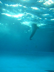 2012082107.jpg