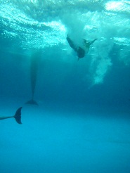 2012082108.jpg