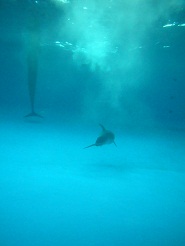 2012082109.jpg