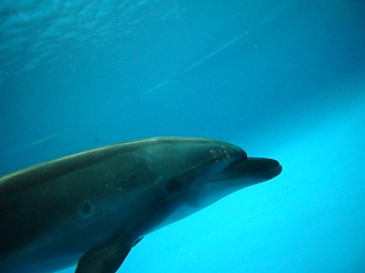 2012082110.jpg