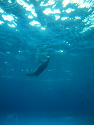2012082111.jpg