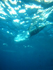 2012082112.jpg