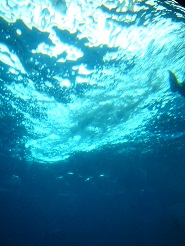 2012082116.jpg