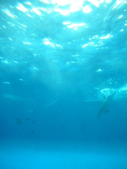 2012082119.jpg