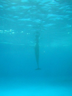 2012082120.jpg