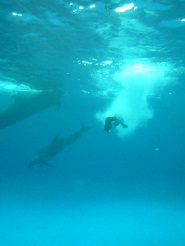 2012082123.jpg