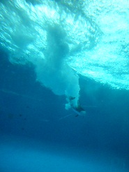 2012082125.jpg
