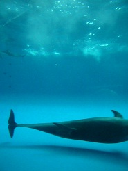 2012082126.jpg