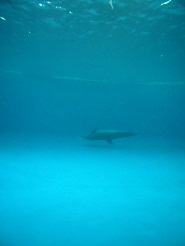 2012082127.jpg